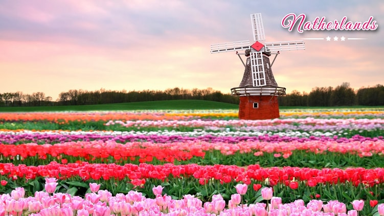 luxury netherlands holiday tour packages